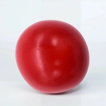 Муляж томата среднеплодного